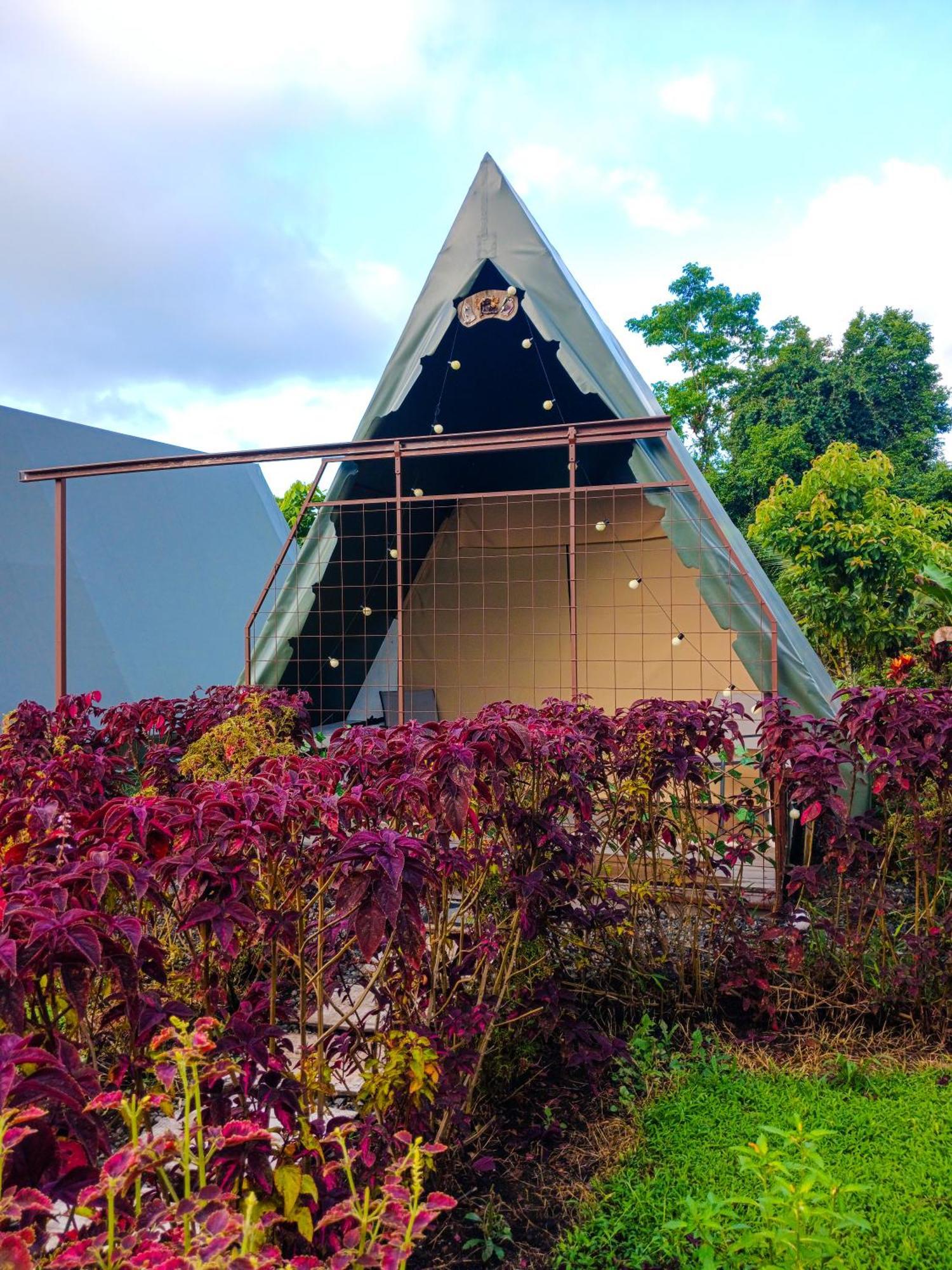Flora Glamping De Abuela Villa La Fortuna Exterior photo
